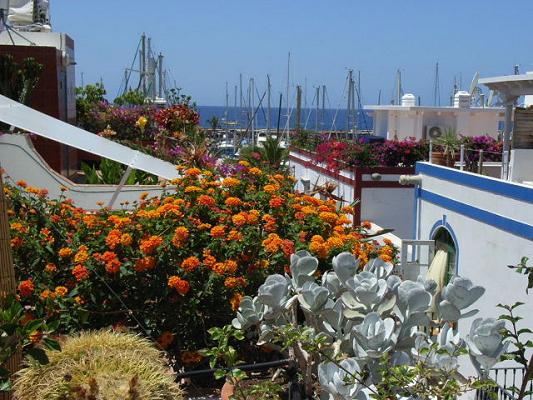 View From The Roof Terrace